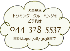 TEL：044-328-5537 住所：神奈川県川崎市多摩区南生田7-20-4 犬舎へのお問い合わせは携帯まで　090-7287-3038